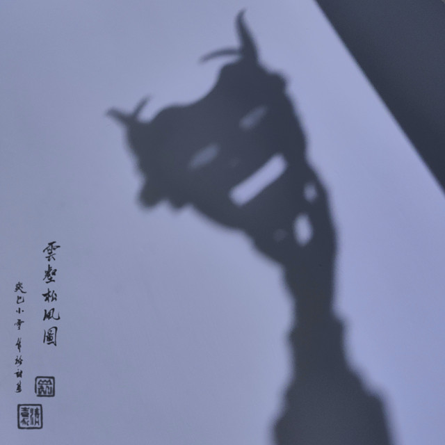 Shadowplay