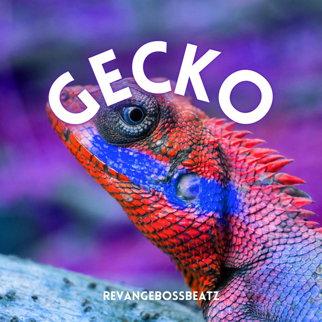 Gecko - Single by RevangeBossBeatz | Spotify