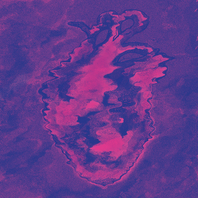 Atrial Flutters (Or Raise Yr Hand If Yr Afraid) cover art