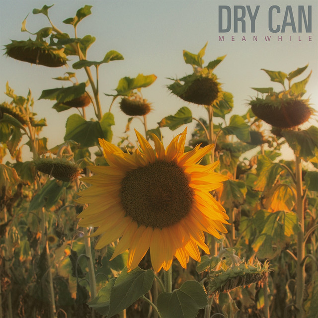 Dry Can Photo