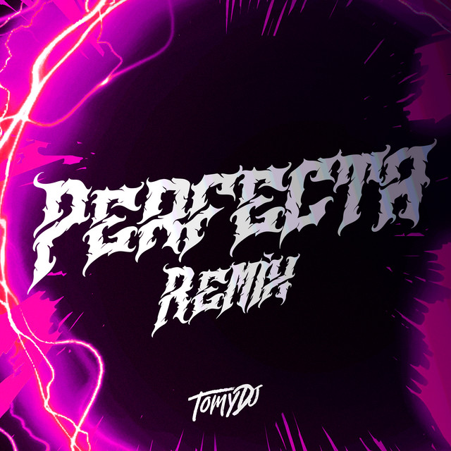 Perfecta - Remix