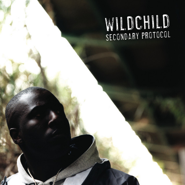 Secondary Protocol cover art