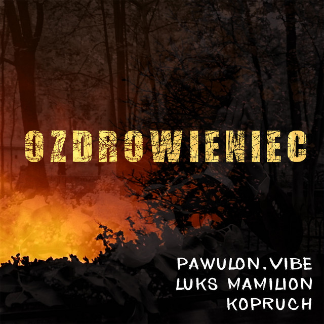 Ozdrowieniec cover art