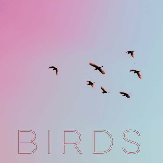 Birds by Four Winds