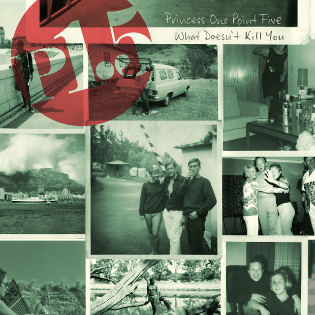 What Doesn't Kill You cover art