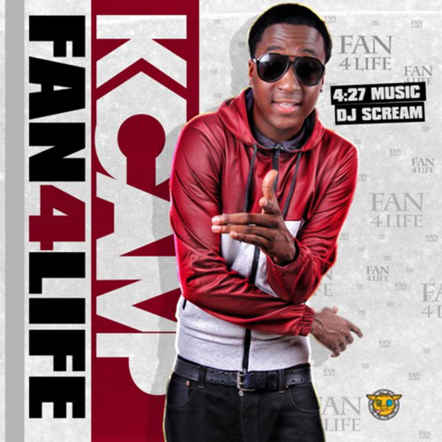 Fan4Life cover art