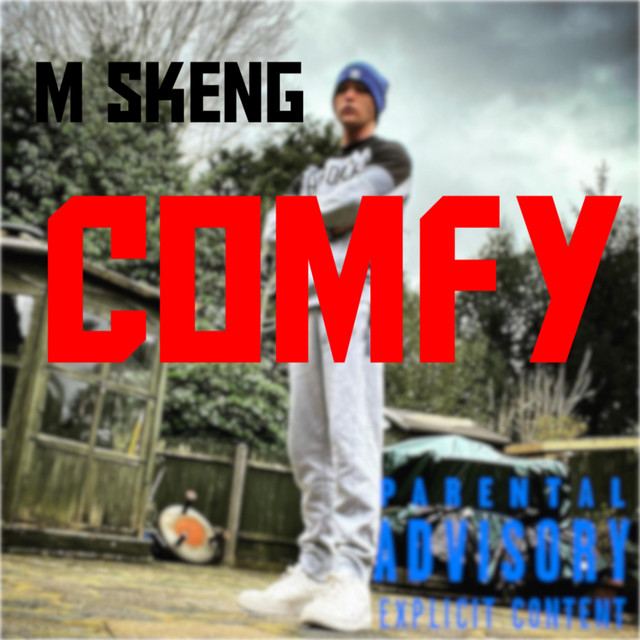 Comfy cover art
