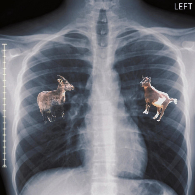 Bronchitis cover art