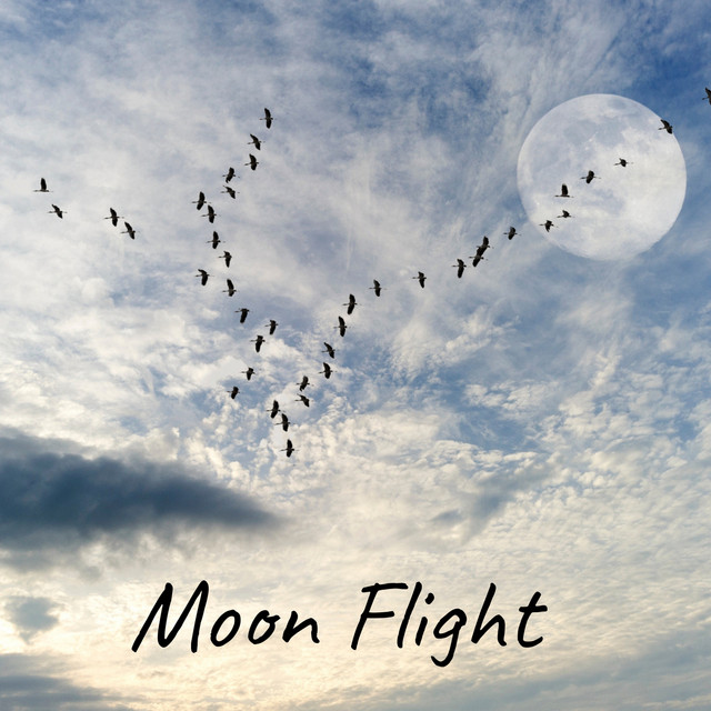 Moon Flight by Lush Rain Creators