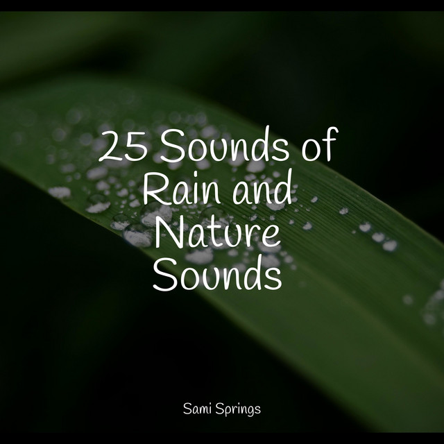 25 Sounds of Rain and Nature Sounds - Album by Crying & Colic Relief ...