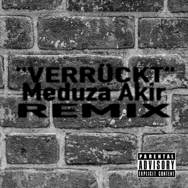 Verrückt (Meduza Akir Remix)
