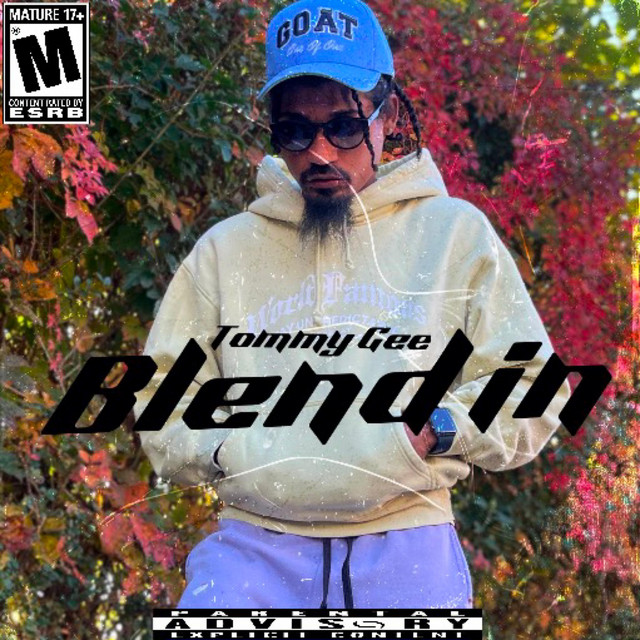 Blend in cover