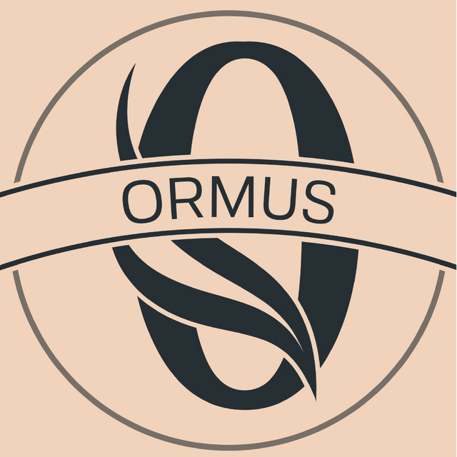 RPOrmus (DJ Mix) cover art