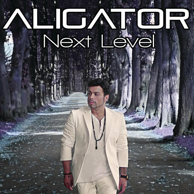 Next Level - Album by DJ Aligator | Spotify