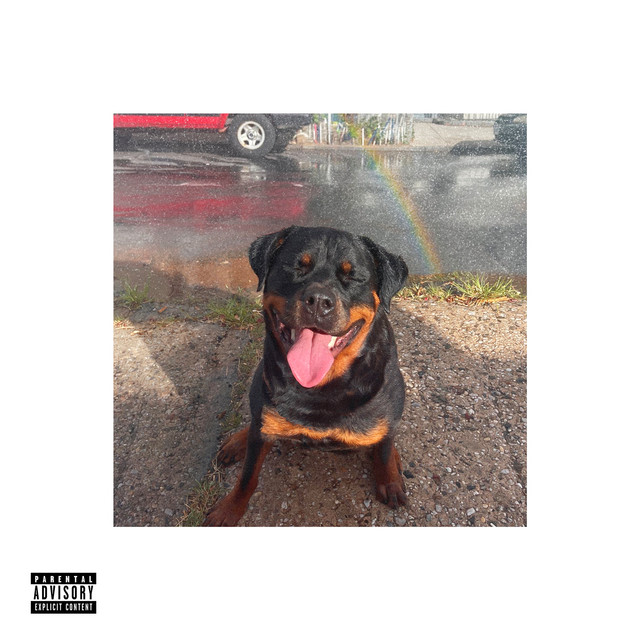 ROCKWHYLER cover art