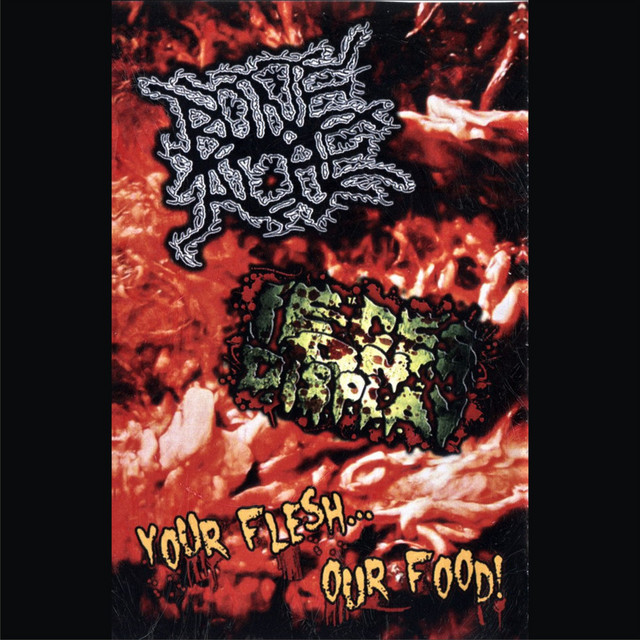 Tracks Off Split W/ Feces on Display cover art