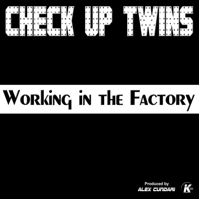 Working in the Factory cover