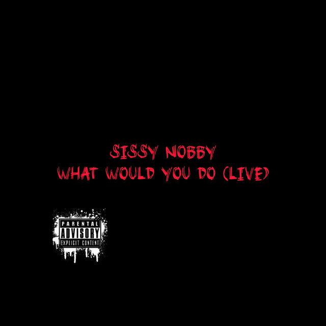 WHAT WOULD YOU DO (Live) album image