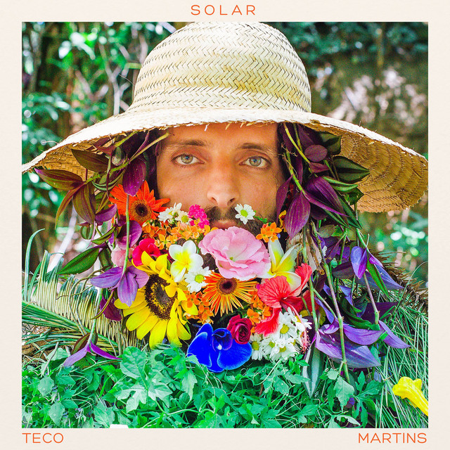 Solar cover