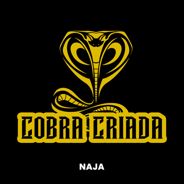 Academia Naja