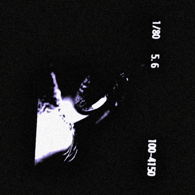 Sincerity cover art