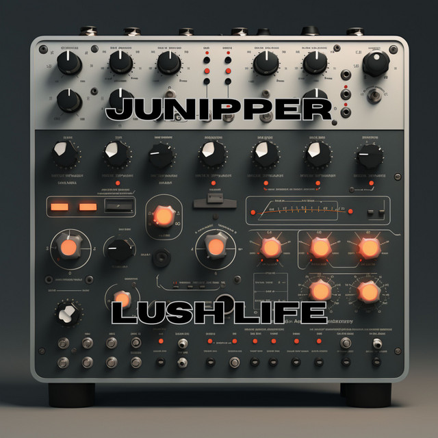 Lush Life cover art
