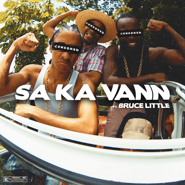 Cover du titre Sa ka vann