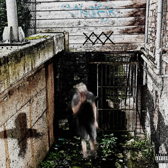 Rollback cover art