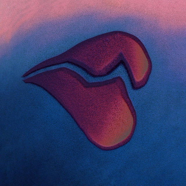 B mi mal cover art