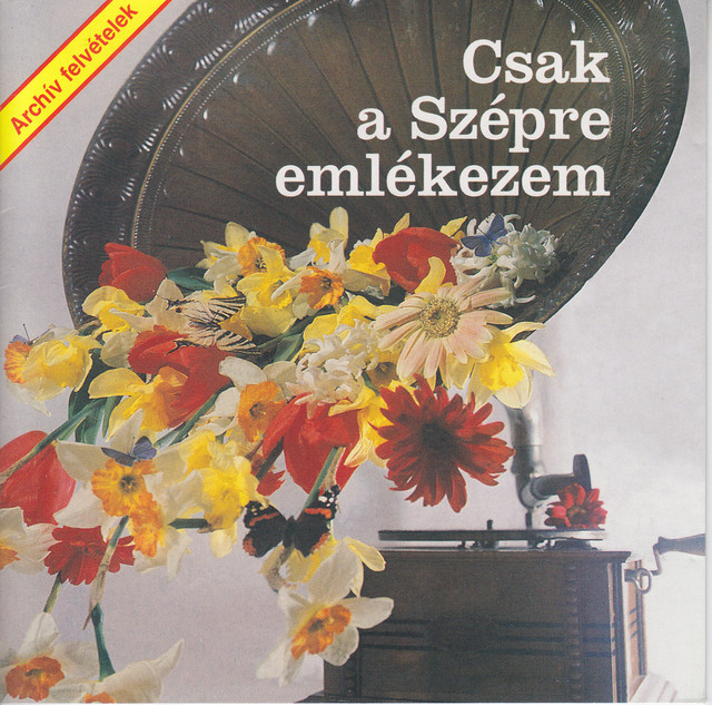 Csak a Szépre emlékezem cover