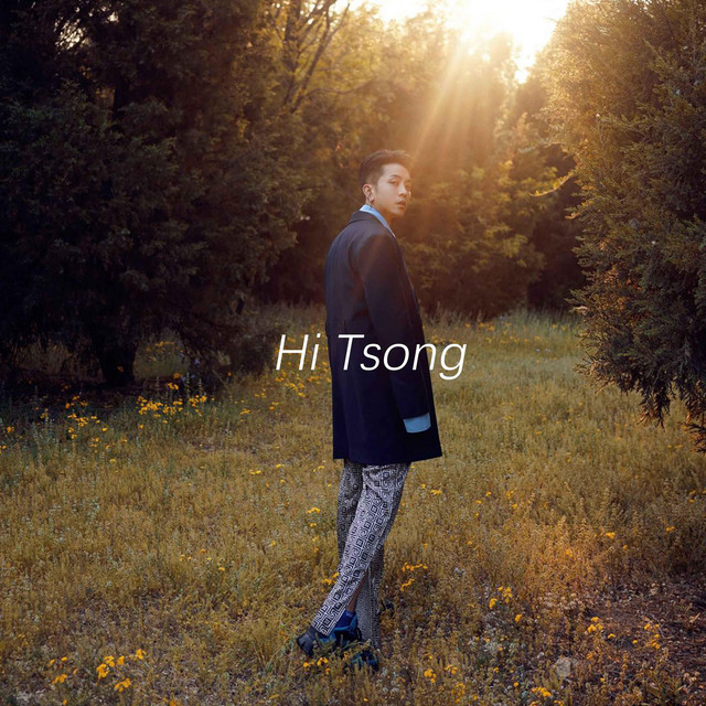 Hi Tsong cover art