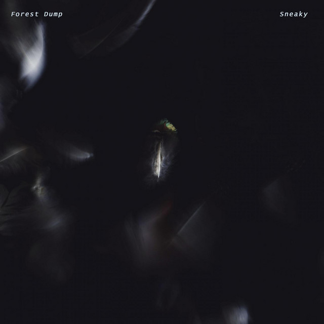 Sneaky cover art