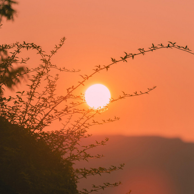 Sunshine cover art