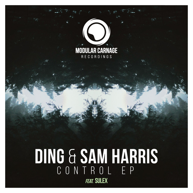 Control cover art