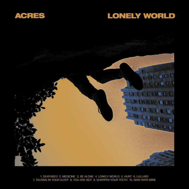 Lonely World cover art