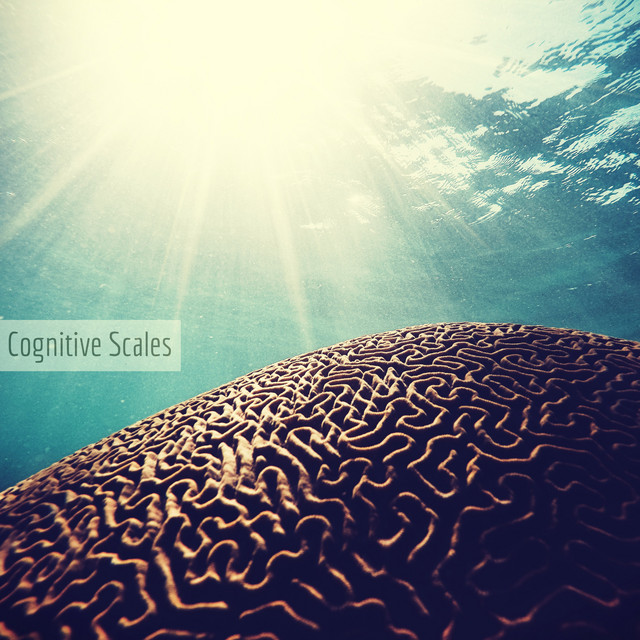 Cognitive Scales cover art