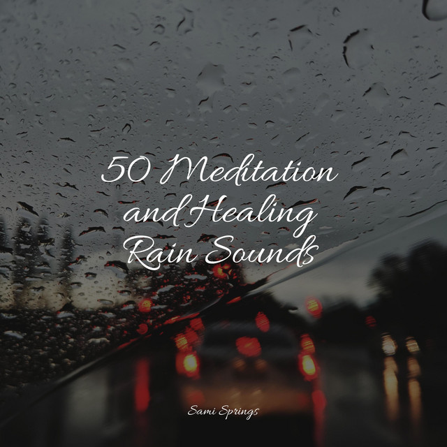50 Meditation and Healing Rain Sounds - Album by Mother Nature Sound FX ...
