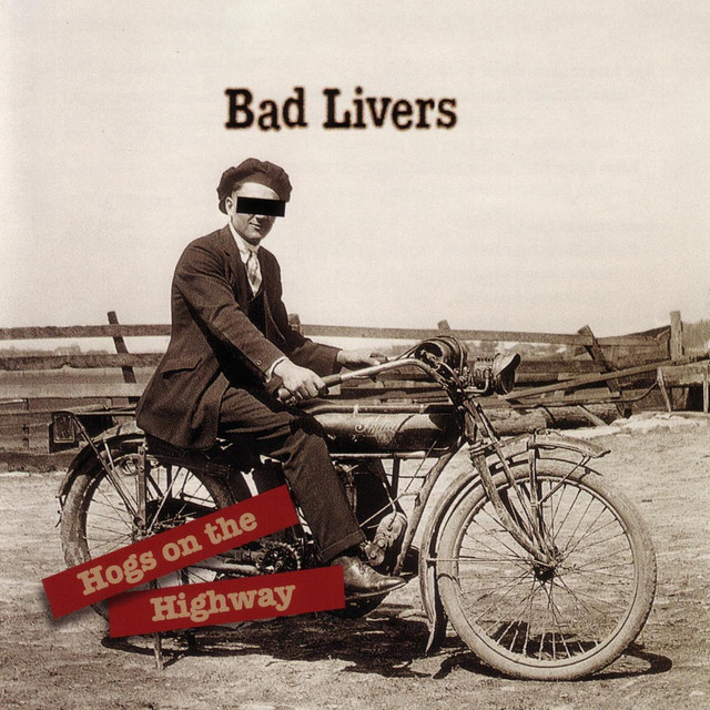 Hogs On The Highway cover art
