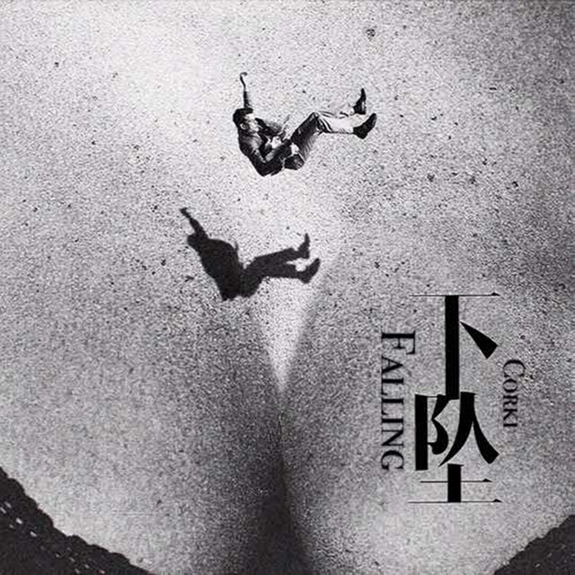下坠 cover art