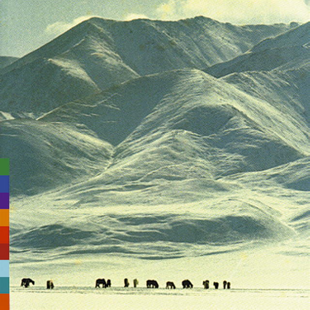 Voices from the Distant Steppe cover art