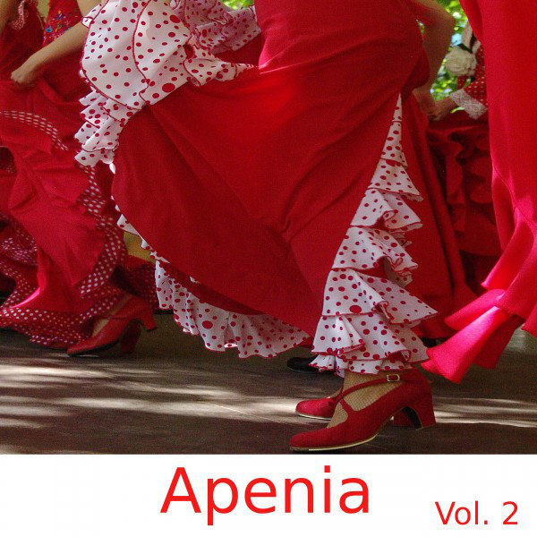From Buenos Aires to Santiago Chilean Flamenco