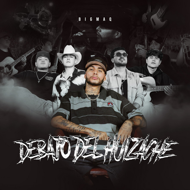Debajo Del Huizache (Live) cover art