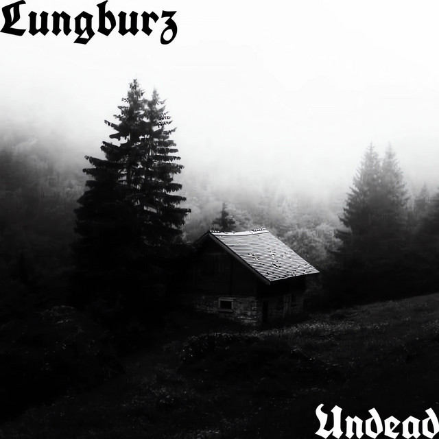 Обкладинка: Undead — Lungburz