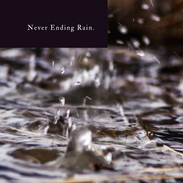 Never Ending Rain cover art
