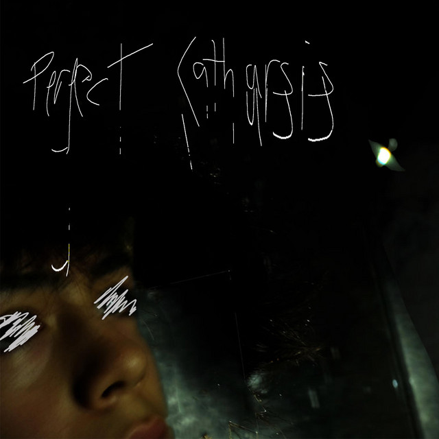 Perfect Catharsis cover art