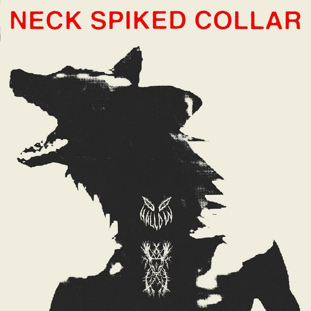 NECK SPIKED COLLAR