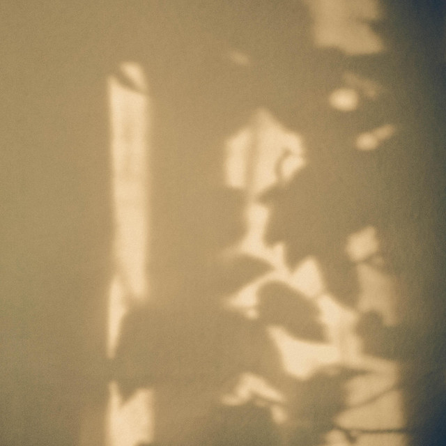 F/64 cover art