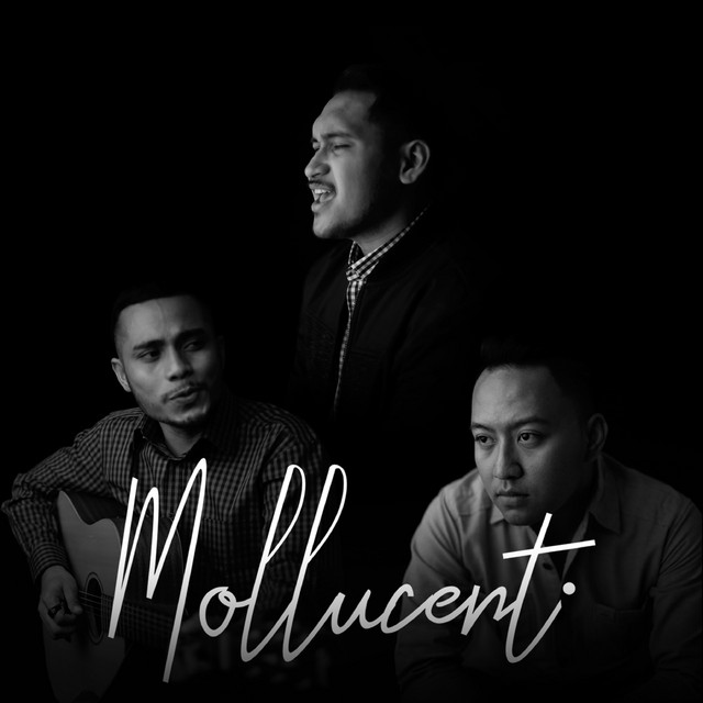 Mollucent