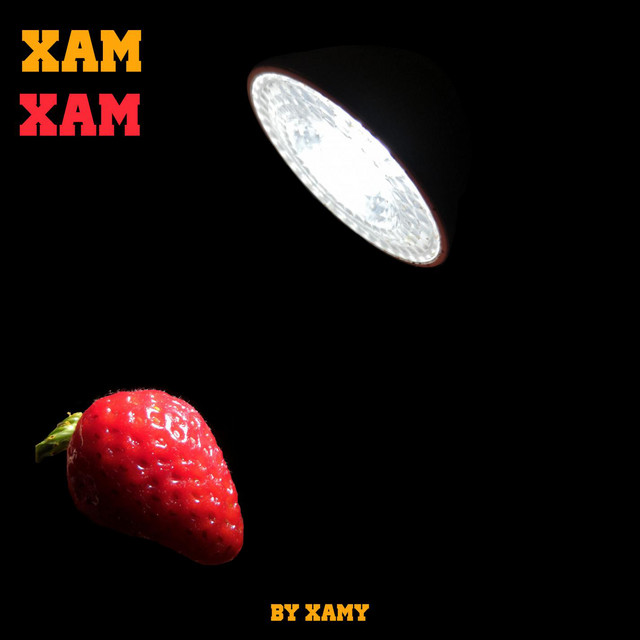 XAM cover art