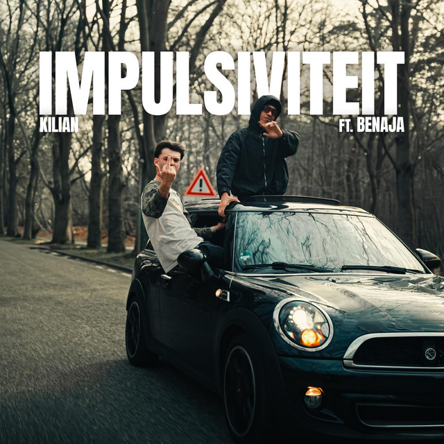 IMPULSIVITEIT